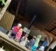 BNE-Tag Schulen Seedorf, Mai 2022