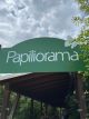 Cycle-Reise ins PAPILIORAMA, Mai 2024