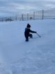 Spielen im Schnee, November 2024