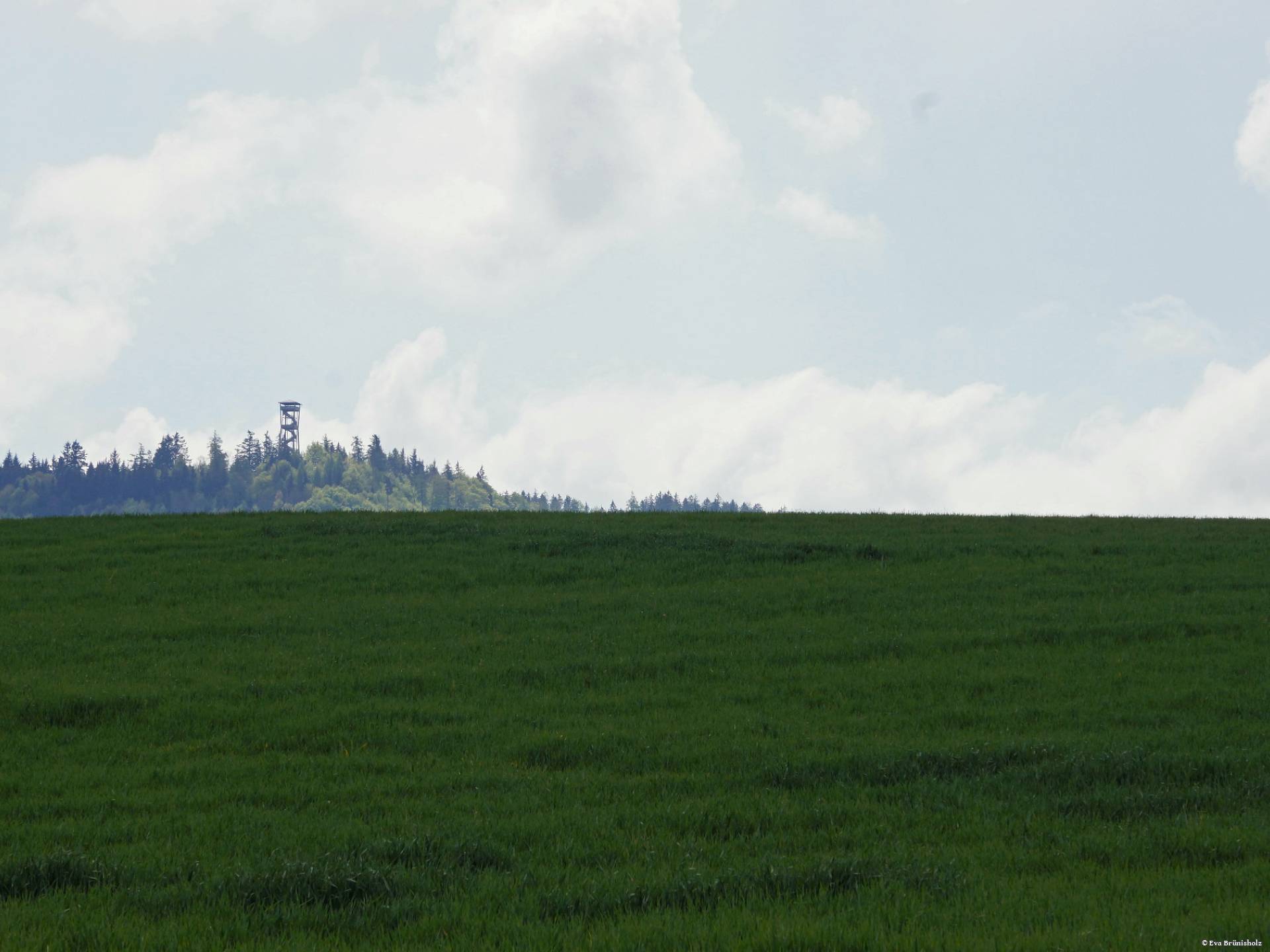 Chutzenturm