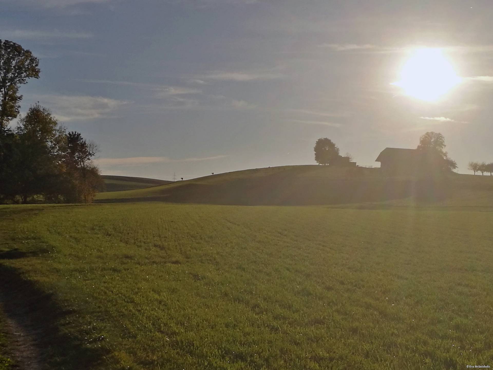 Gegenlicht