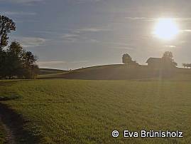 Gegenlicht