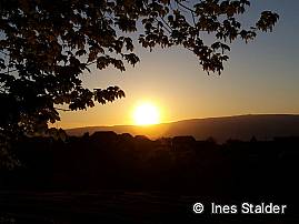 Sicht vom Frienisbergerwald nach Ruchwil