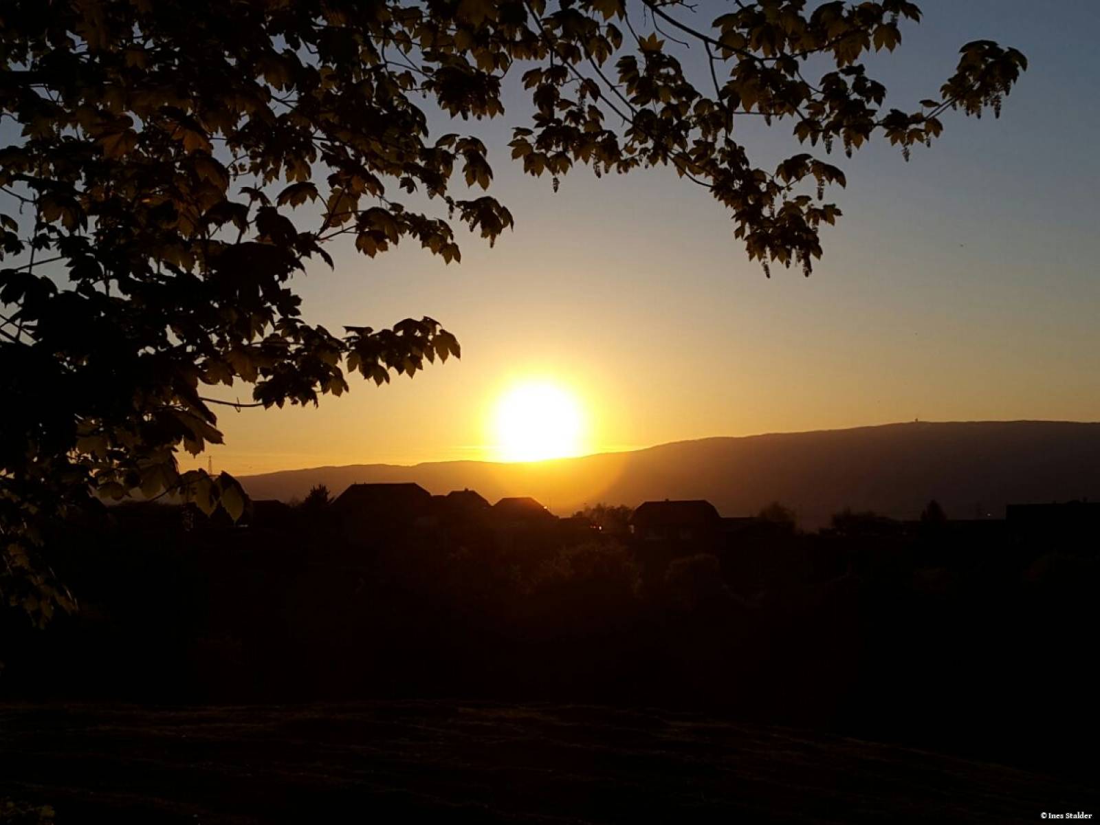 Sicht vom Frienisbergerwald nach Ruchwil