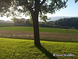 Aussicht Rossgarten, Lobsigen