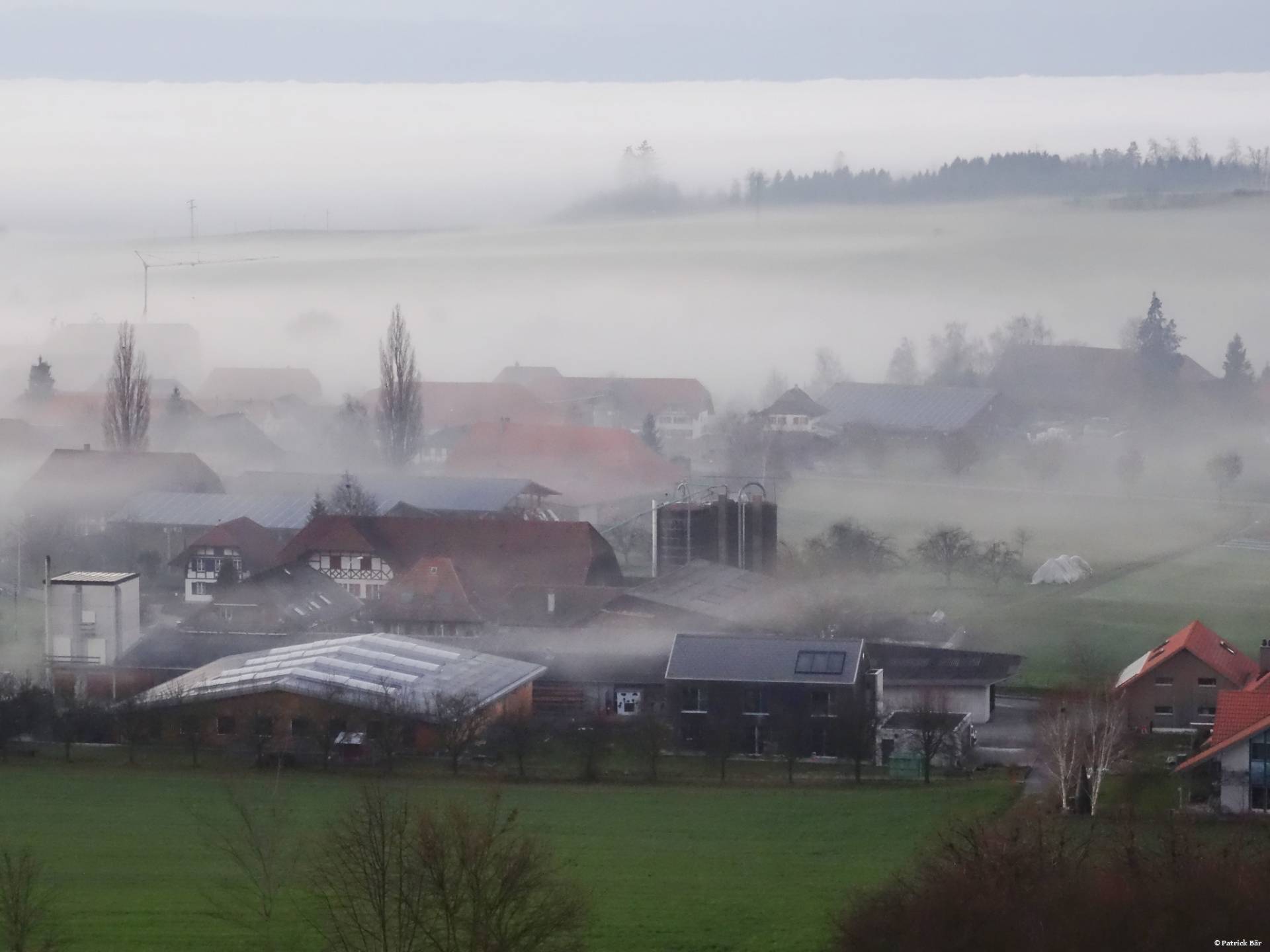 Lobsigen im Nebel