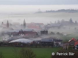 Lobsigen im Nebel