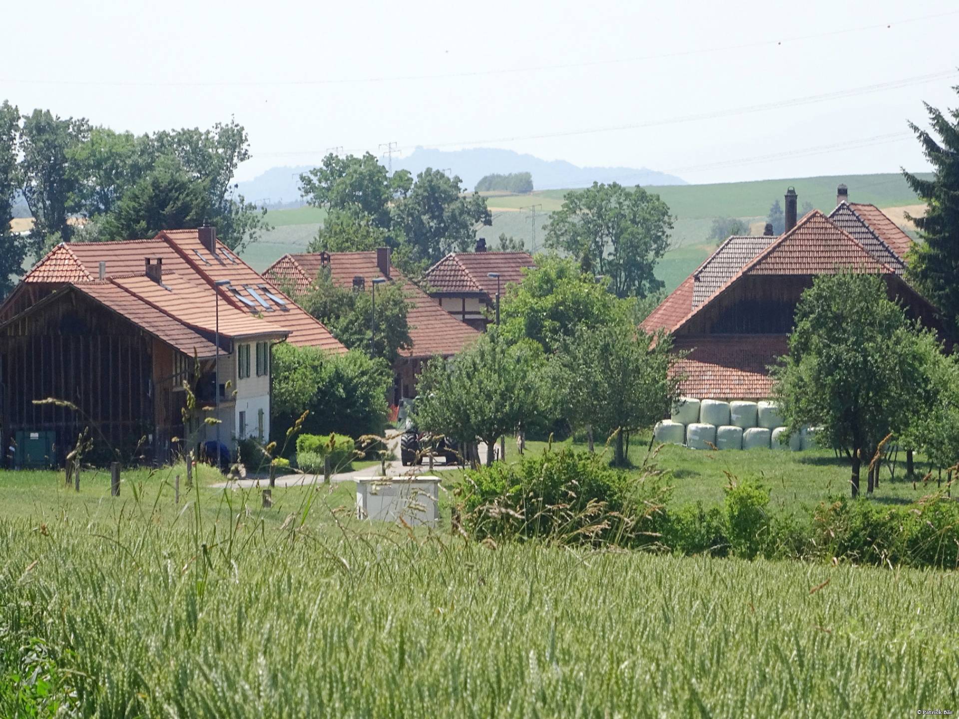 Grissenberg, Wiler